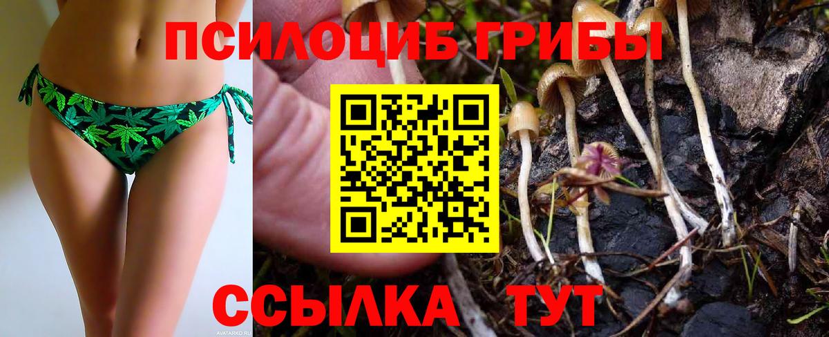 Псилоцибиновые грибы прущие грибы Каменка