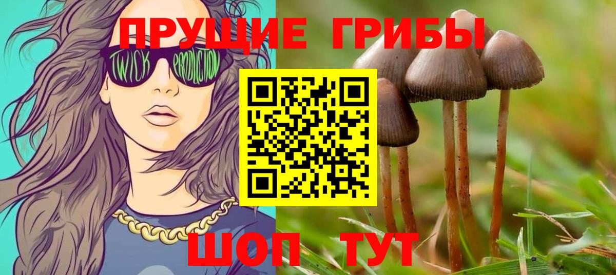 Каменка  Галлюциногенные грибы мухоморы  Вход с VPN 